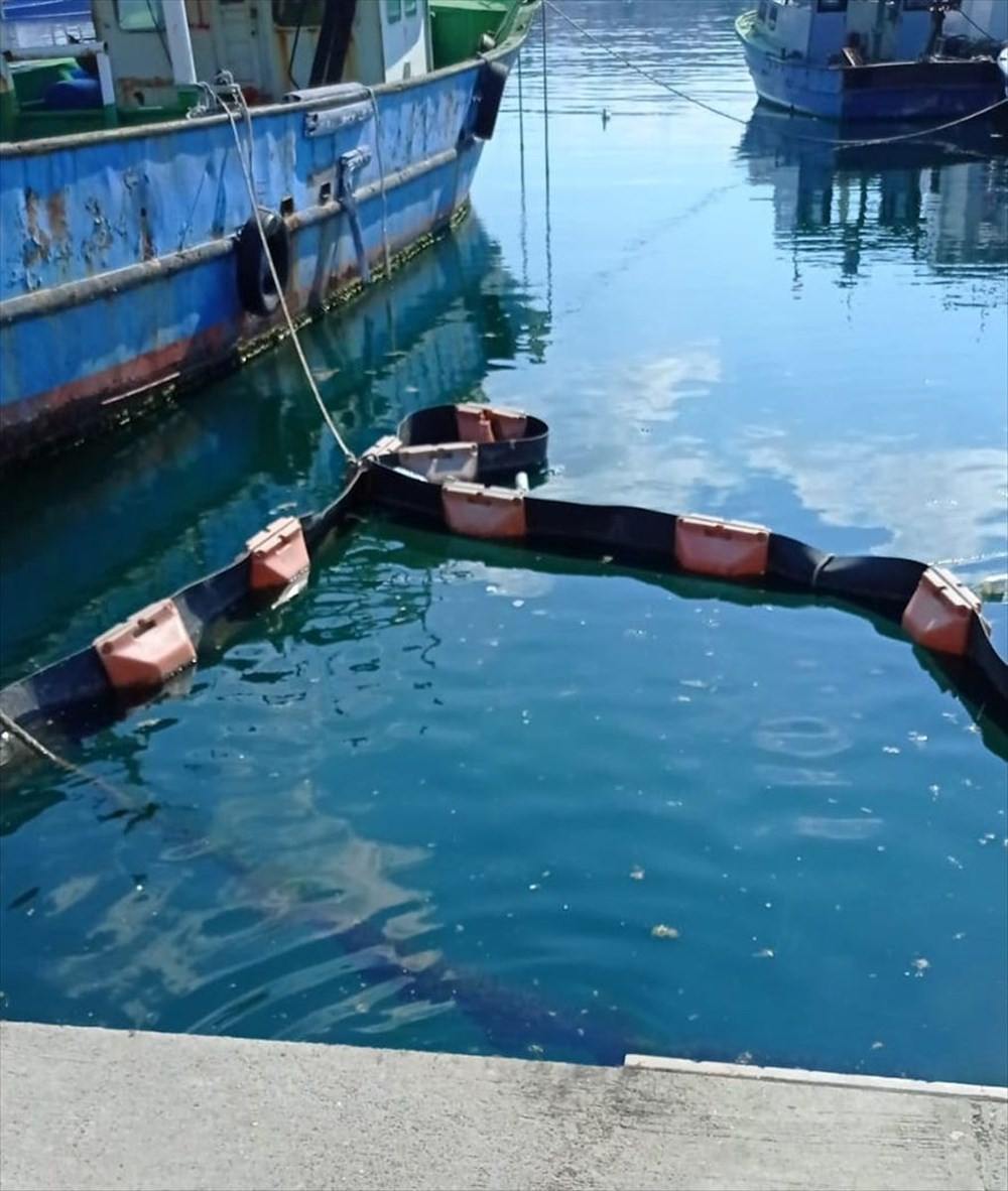 Okyanuslar bakterilerle temizlenecek!
